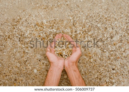 A young man holding a handful of beautiful shells on his hands descended into the sea water. sand beach on island in Caribbean made of tiny shells.
