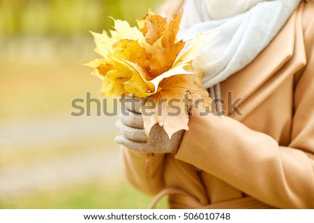 season and people concept - close up of woman holding maple leaves in autumn park