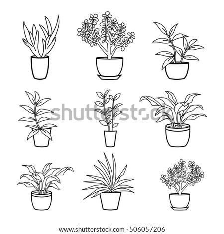 House plants and flowers in pots isolated on white background. Home garden silhouette concept in flat design. White lines doodle art. Vector illustration.