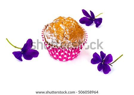 Cupcake on White Background. Studio Photo.