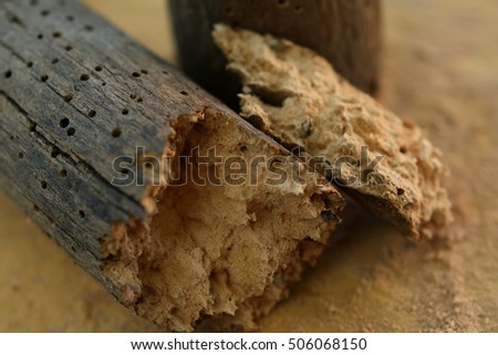 Crumbled piece of wood decayed by woodworms