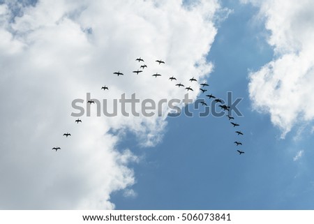 Migratory birds fly to warm regions. Migration. Emigration. Royalty-Free Stock Photo #506073841