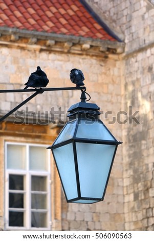 Pigeons on a retro street lamp in Old Town Dubrovnik, Croatia. Traditional stone house in the background, selective focus. Dubrovnik is popular touristic destination and UNESCO World Heritage Site. 
