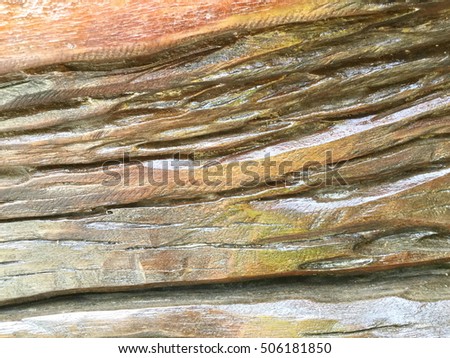 Old Wood texture, Bark texture for the background or text