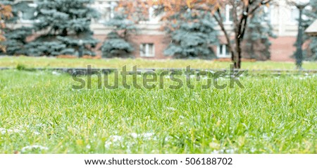 green grass, blurred background, cityscape