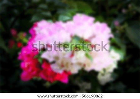 abstract background blurry pink flower and green leaf on tree with dark blurry background.
