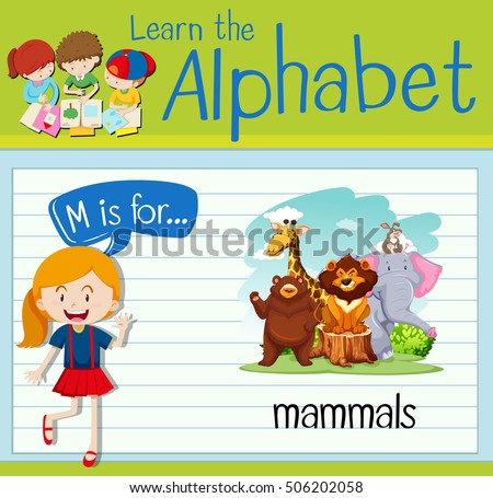 Flashcard alphabet M is for mammals illustration