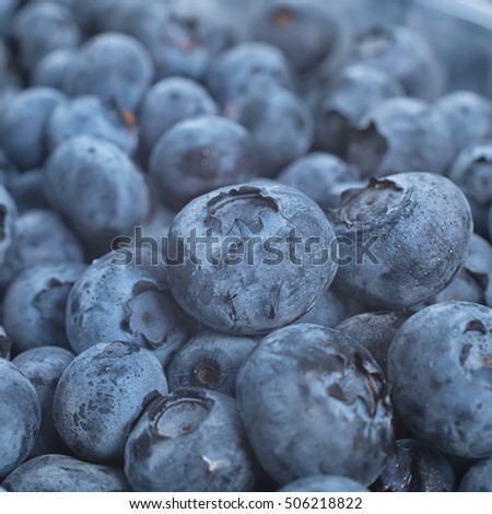 close up of blueberry in box containers at farmers market, close up, concept of healthy eating and nutrition