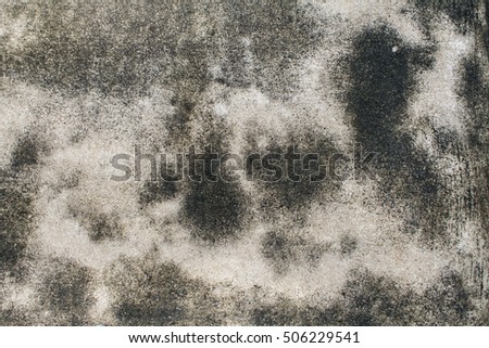 background textured surface cement have mold on the floors