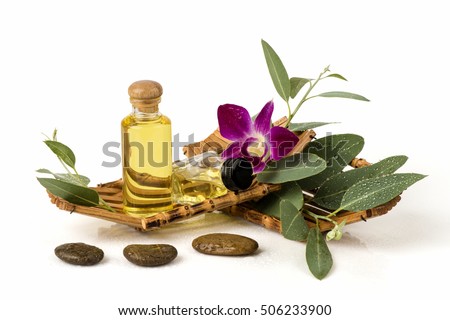Eucalyptus Essential Oil : Ingredients for cosmetics, body massage and spa. Royalty-Free Stock Photo #506233900