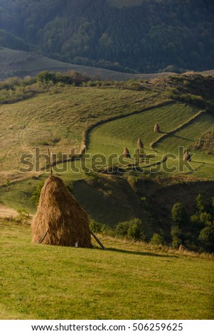 Amazing Romanian countryside with haystacks on pasture in the summer afternoon light