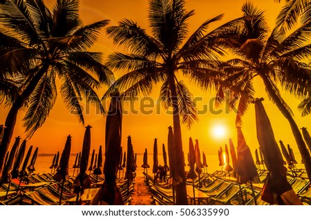 Tropical coconut tree silhouettes on ocean beach at vivid sunset time