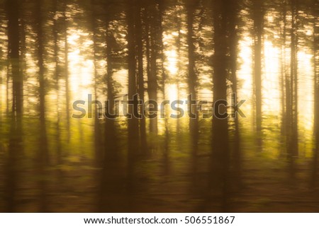 blurry forest on the train window in motion, motion blurred foliage and forest. abstract picture and film style