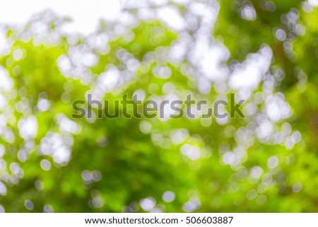 Green Bokeh Background,Blurred background