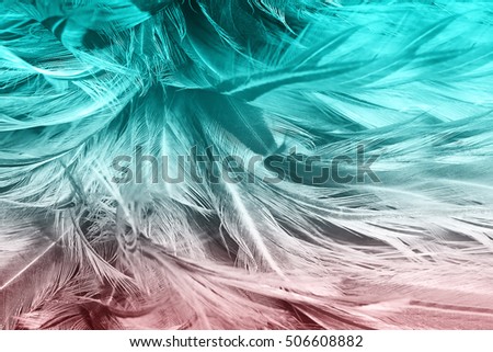 green turquoise and red vintage color trends chicken feather texture background