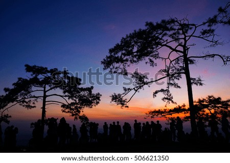 Silhouette of pine tree and people waiting to see sunrise, Phu Kradueng National Park, Thailand. Twilight light.