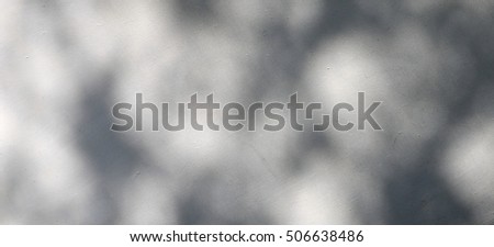 shadow of the leaves on a white wall