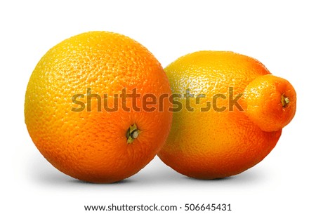 Group of oranges and mandarins isolated on white background.