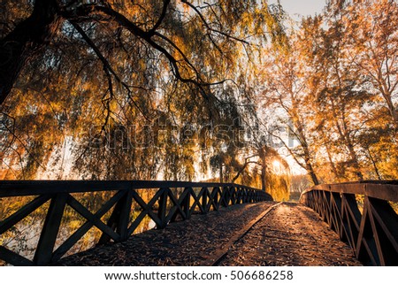 Beautiful autumn landscape. Golden sunset and sunlight with soft autumn colors of autumn trees and silhouette.
