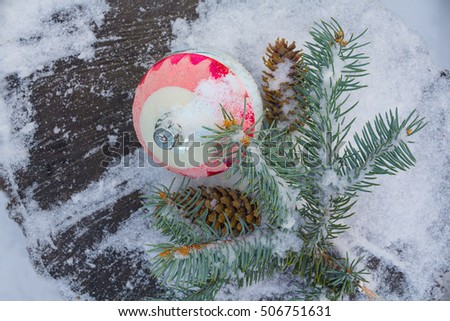 Christmas decorations, pine branch, cones. New Year