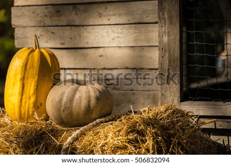 Helloween pumpkin on hay at old wooden farm house