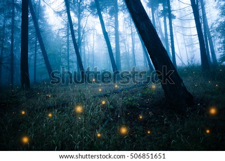 Dark forests with fireflies Royalty-Free Stock Photo #506851651