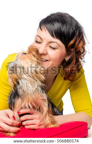 Yorkshire terrier kisses his favorite mistress on a white background