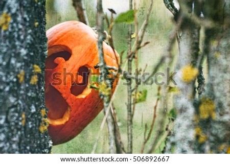 It's halloween time! Frightened pumpkin is hiding behind a tree. Catch her if you can. Funny photo.