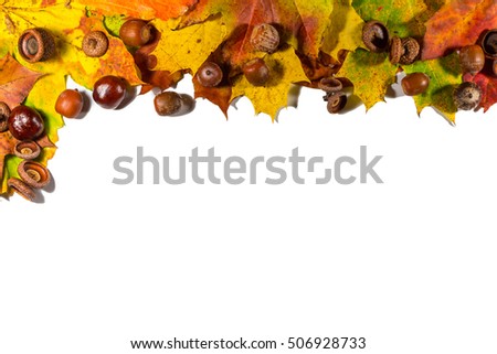 Autumn background with colored leaves, chestnuts and peanuts on white board