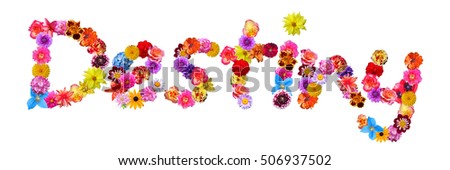 Destiny Colorful Flower Name