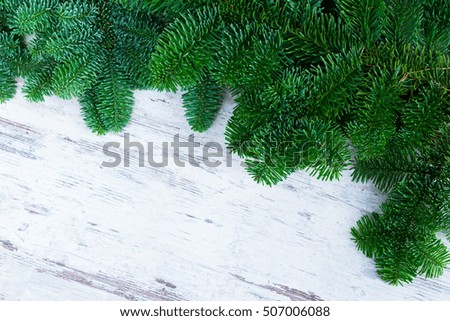 christmas fresh evergreen tree twigs and branches on white wood with copy space