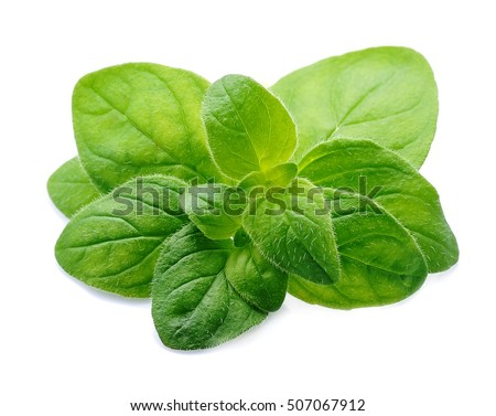 Oregano leaves spices close up on white Royalty-Free Stock Photo #507067912