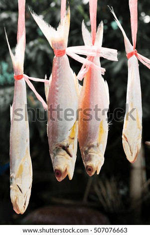 Hang dried fish for keep food thailand tradition