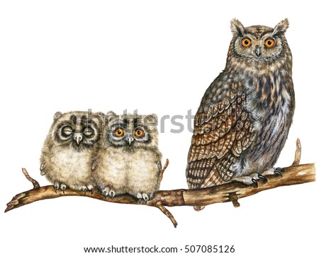 realistic illustration of owl (bubo bubo) with two chicks
