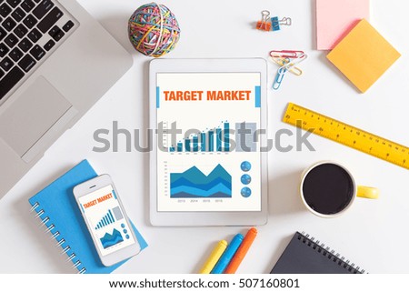 Business Charts and Graphs on screen with TARGET MARKET title