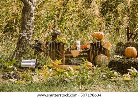 Halloween Holiday Decoration, green grass, pumpkin, christmas, autumn, tree, new year, wood, wallpaper, design, decor, celebration
