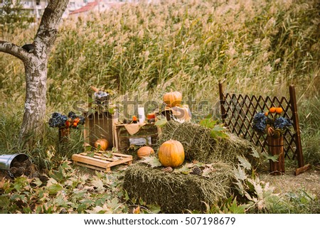 Halloween Holiday Decoration, green grass, pumpkin, christmas, autumn, tree, new year, wood, wallpaper, design, decor, celebration