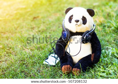 Stuffed panda wearing headphones.Sharing the joy of life.alone concept