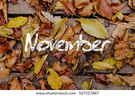Autumn Leaves on Wooden Background. November Concept Wallpaper.