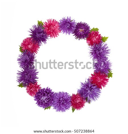 Floral Pattern, frame. Composition with Purple and pink Aster (Callistephus chinensis) flowers on isolated white background. Top view. Flat lay.