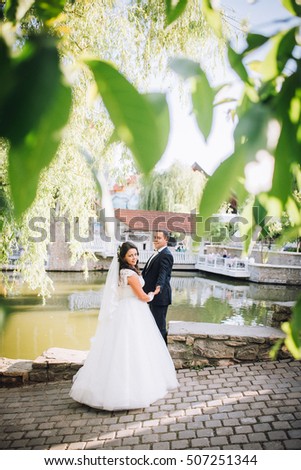 in love with a beautiful young bridal couple kissing near lake in a sunny day. 
bride and groom dancing on the pier under tree. backlight of the sun. Exciting honeymoon photo/ picture. Copy space.