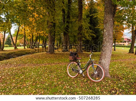 Amazing autumn landscape with bicycle near the tree at sunset. Foliage and bike in park at fall season.