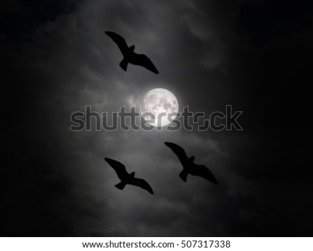 Flock of black birds flying on the sky in dark cloudy night with full moon. 