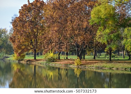 Small river and trees reflecting in the water in a beautiful autumn day