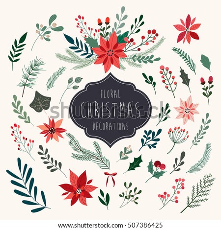 Christmas floral collection with winter decorative plants and flowers