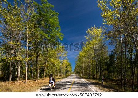 Beautiful road with blue sky in countryside of northern Thailand