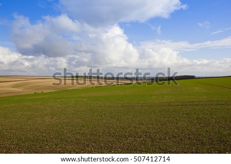 rolling hills in a yorkshire wolds agricultural landscape with crops and hedgerows under a blue sky with fluffy white clouds in autumn