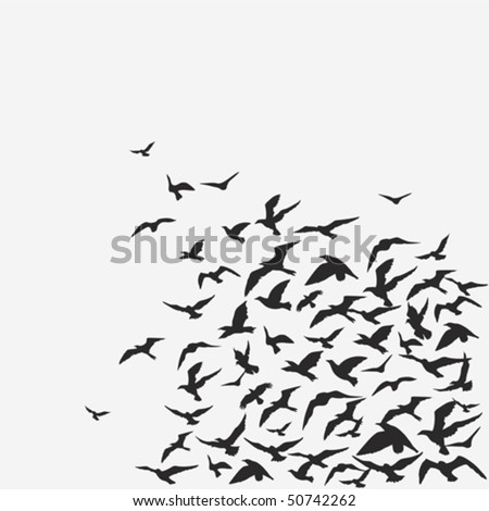 Vector background of a birds' flock