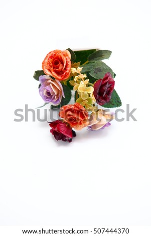 Red orange purple roses flowers on with background,Flowerpot,Colorful flowers.