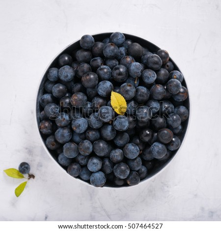 Top view of fresh natural healthy wild berries blackthorn (sloe). Square picture.